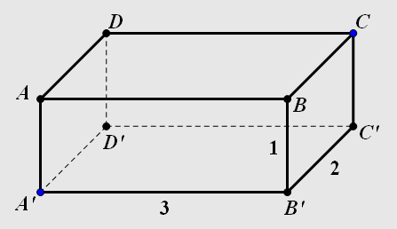 Cuboid